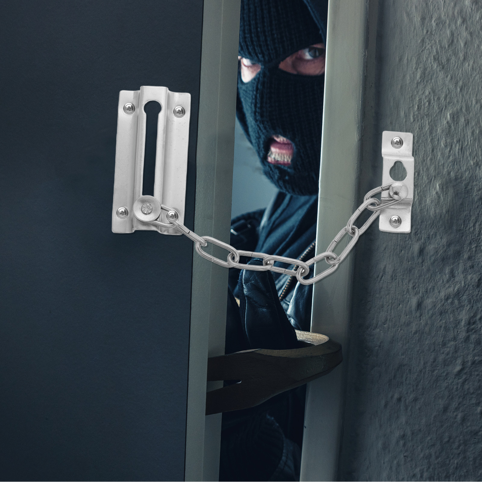 Heavy Duty Stainless Steel Ant - đánh giá và giá Security Chain Door