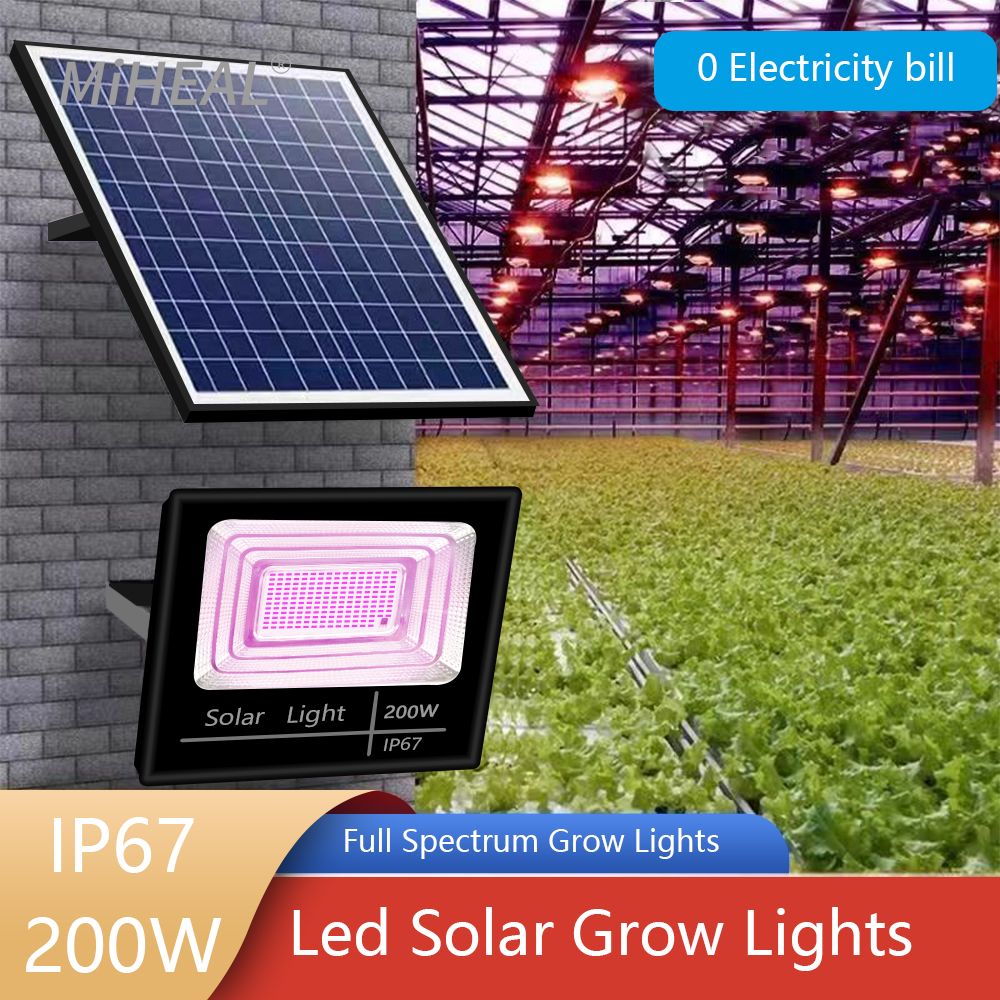 LED Full Spectrum Phyto Lamp 2 - đánh giá và giá Power Outage Light