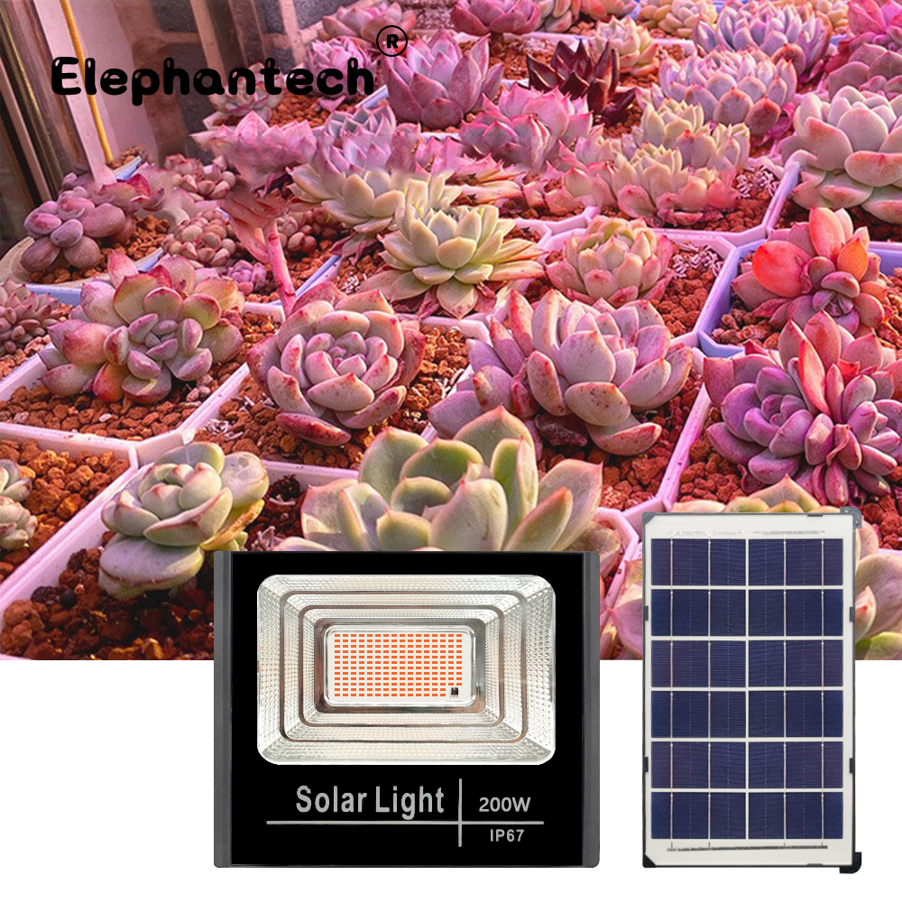 LED Full Spectrum Phyto Lamp 2 - đánh giá và giá Power Outage Light